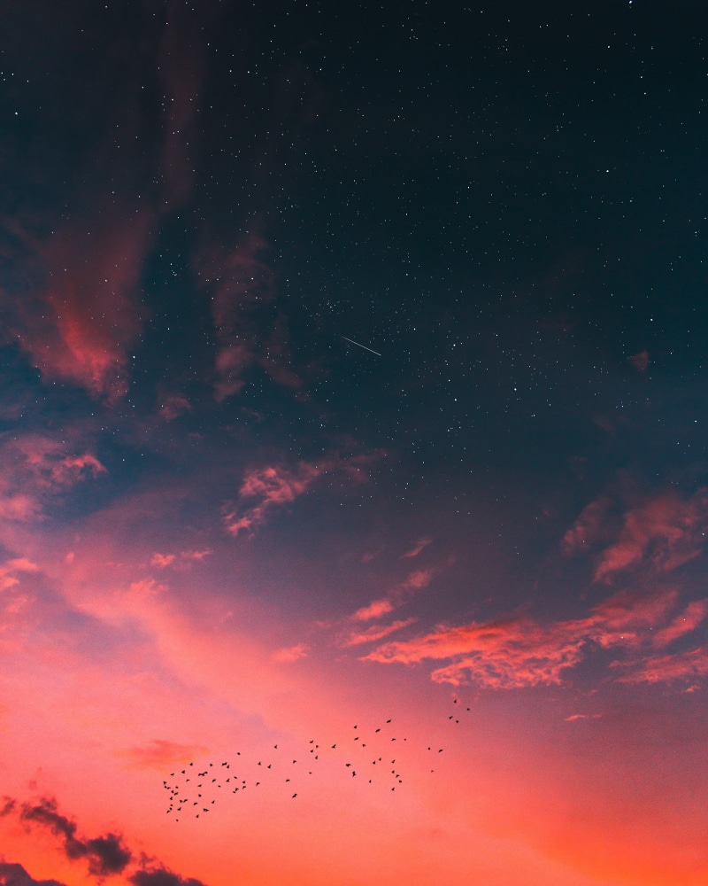 cloud - Sky, backgrounds, cloudscape, animals in the wild, star Field, purple sky, sunlight, blue, tranquil scene, constellation, painting, no people, weather
