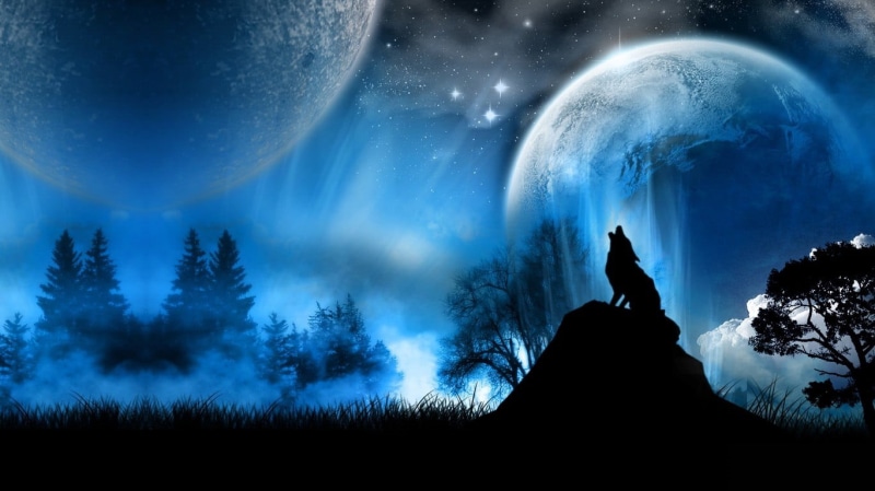720P, dark, sky, animals, plant, planet - space, nature, blue, astronomy, scenics - nature, fantasy art, forest, photo, land, digital composite, people