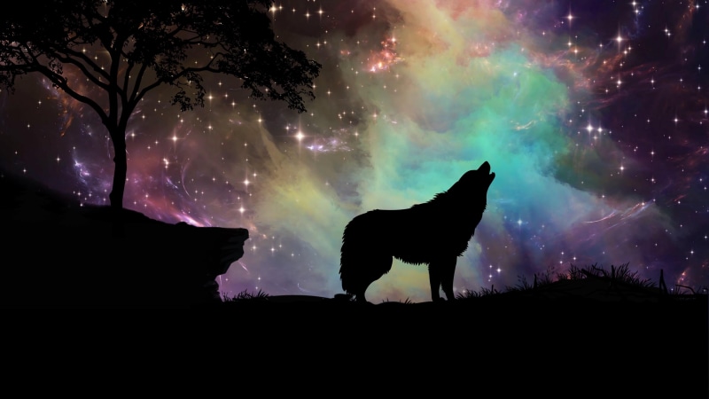 art, 4K, howling, sky, wolf, starry, starry night, silhouette
