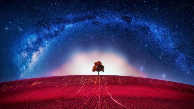 hill, tree, red tree, red field, night, starry night, field, 1080P, lone tree, night sky, photoshop, starry sky, lonely tree, stars, milky way, starry