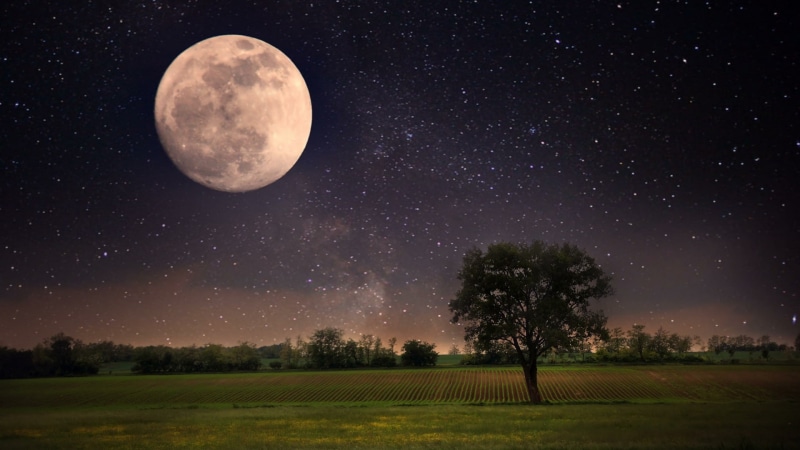 astronomy, sky, lone tree, starry sky, darkness, supermoon, field, new moon, nature, moon, astronomical object, night, 1080P, moonlight, lonely tree, full moon