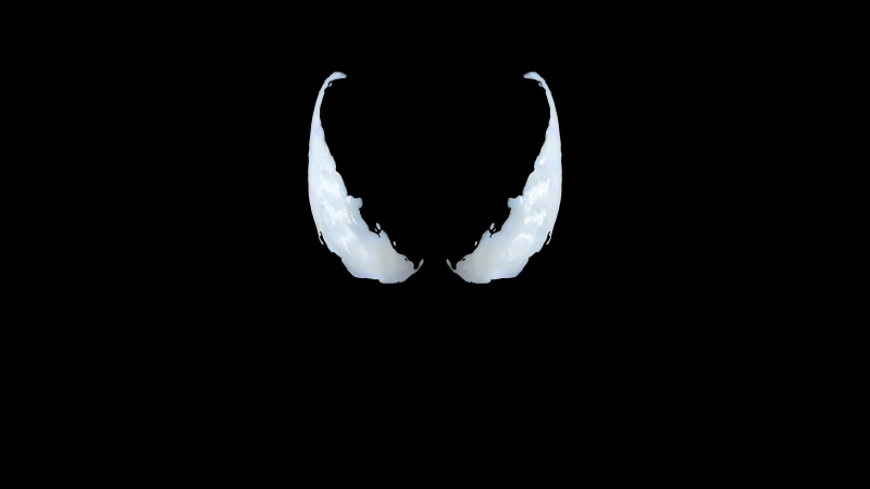 5k, venom, 8K, animal wildlife, hd, superheroes, venom movie, vertebrate, bird, white color, studio shot, indoors, dark, animal, night, no people, animal themes