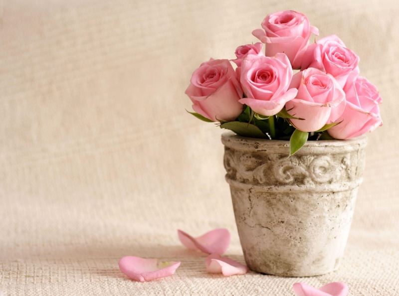 vase, plant, petal, rose - Flower, flowering plant, bouquet, flower Head, fragility, pot, bunch of flowers, nature, arrangement, flower arrangement, wood - Material