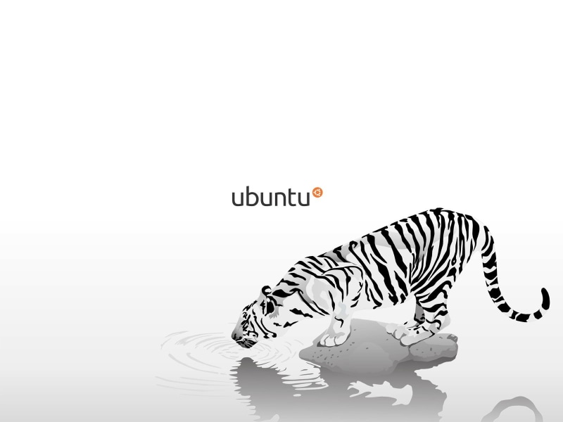 creativity, paper, art and craft, white color, white background, indoors, cut out, 720P, copy space, human representation, white, tiger, Linux, GNU, close-up