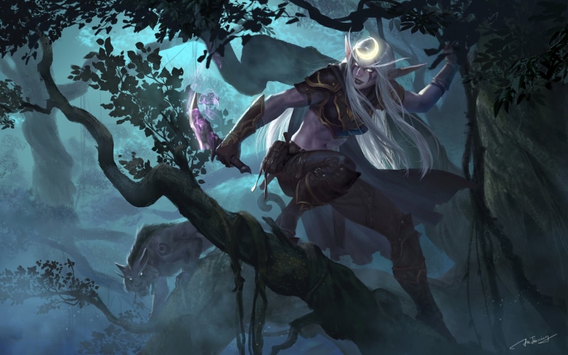 Elfs, Night Elves, Rogue, 1080P, elves, Jianing Hu, World of Warcraft, Druid