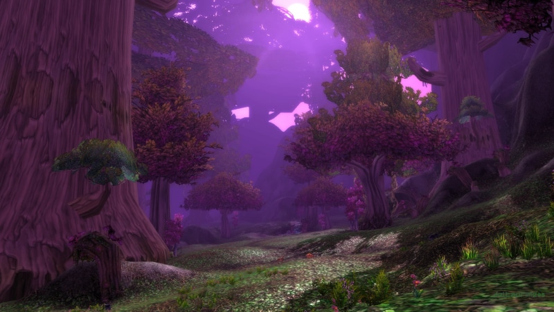 1080P, World of Warcraft, PC gaming, Night Elves, screen shot, Shadowglen, forest, Teldrassil, In-Game Photography