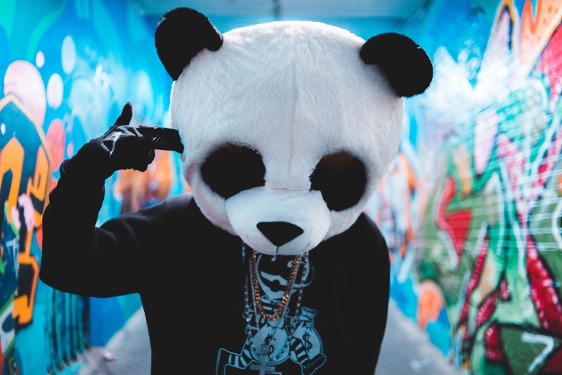 halloween, mammal, hoodie, panda - animal, childhood, focus on foreground, real people, mask, standing, head, men, leisure activity, urban, glofe, art