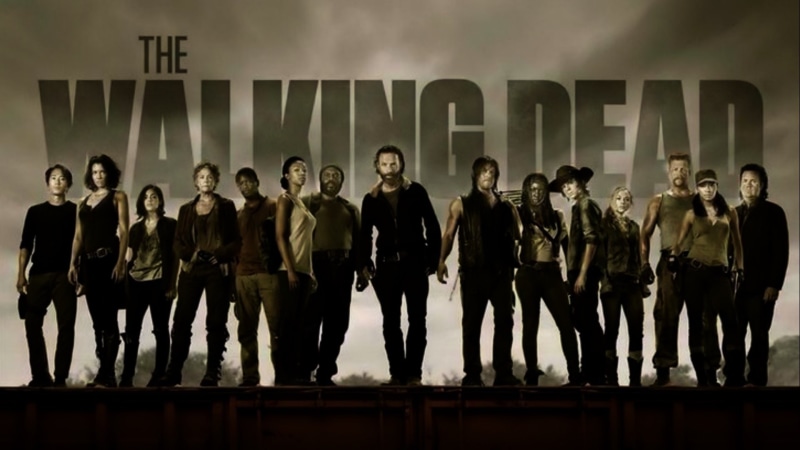 1080P, silhouette, dead, The Walking Dead, back Lit, group Of People, young Adult, Michonne (The Walking Dead), Norman Reedus, large Group Of People, Carl Grimes
