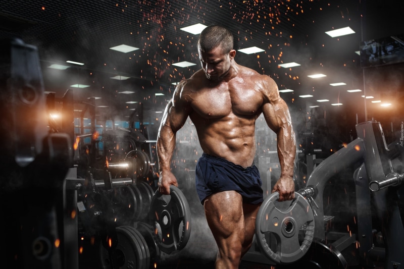 pose, adult, muscle, men, torso, human muscle, sports training, athlete, press, body building, wellbeing, strength, exercising, muscular build, bicep, chest
