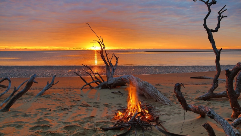 dry tree, evening, ocean, sunset, sky, beach, tranquil scene, nature, tranquility, burning, 4K, calm, shore, driftwood, flame, cloud - sky, body of water