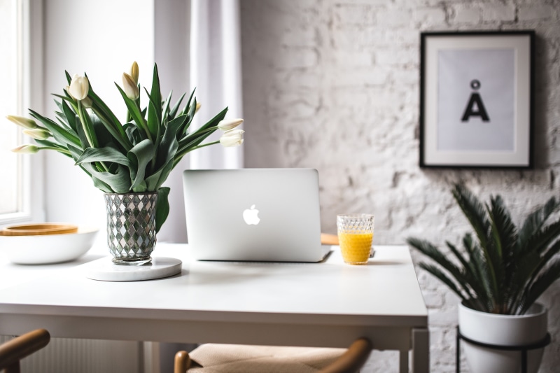 flower, furniture, workspace, communication, modern, domestic Room, day, pro, drinking glass, cup, breakfast, technology, wireless technology, table, computer
