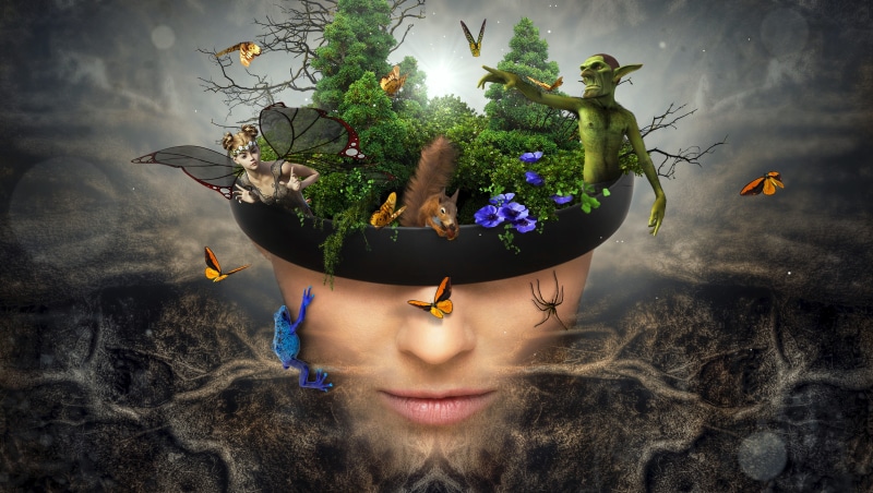 lighting, frog, people, tree, vase, elf, animals in the wild, trees, live, atmospheric, mythical creatures, woman, girl, plant, collage, 4K, fairy tales