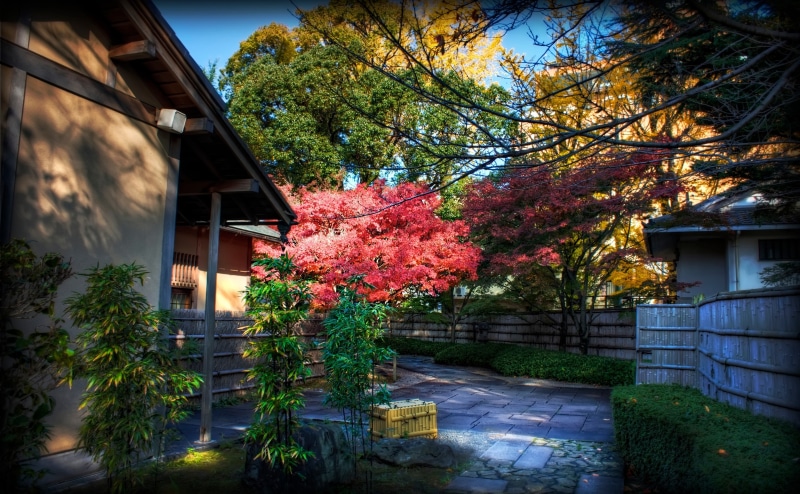 Mikawa, Photography, tree, flower, behind, Japan, Yellow, Photoshop, leafed, Landscape, Aperture, front or back yard, Asia, building exterior, pink, beauty in nature