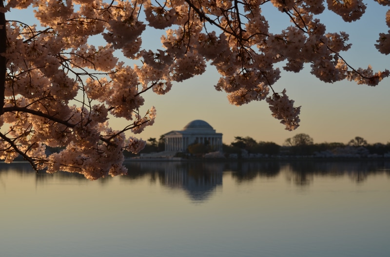 lake, leafed, tree, building, outdoors, leaf, water, reflection, plant, growth, dome, building exterior, pink, beauty in nature, no people, travel destinations