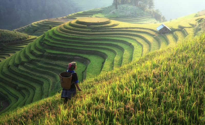 rural scene, filipino, the village, home, scenics - nature, grass, food, adult, colorful, the world, nature, growth, tour, traditional, landscape, travel