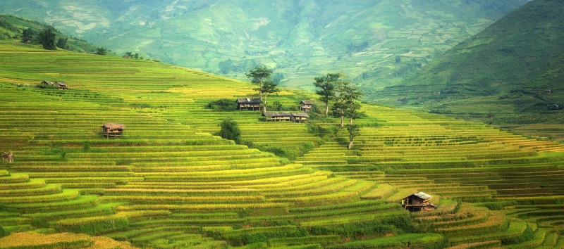 geography, asia, the village, crop, porcelain, mountain, plant a garden, sapa, the world, cloud, the country, scenics, district, tour, green, plant, ethnology