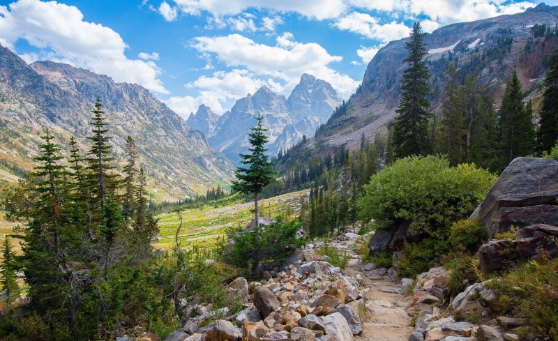 pine tree, beauty in nature, plant, environment, landscape, mountains, green, 2K, mountain, Wyoming, non-urban scene, formation, day, tranquil scene, idyllic