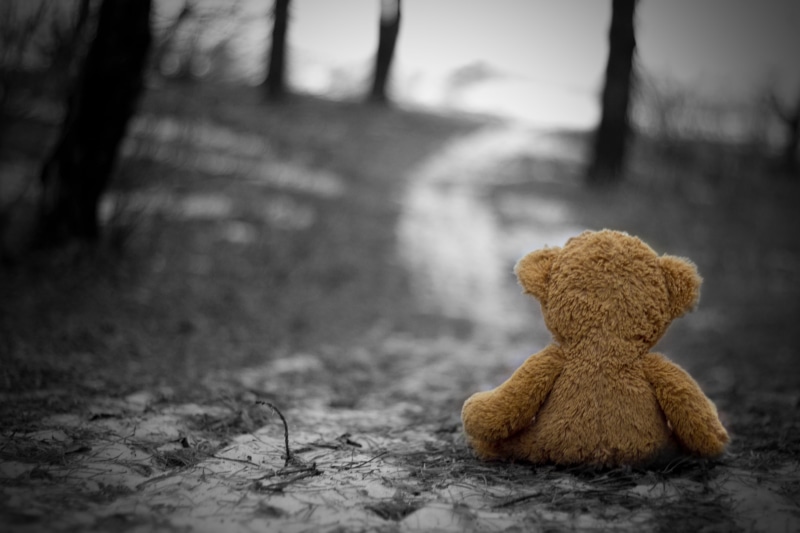 focus on foreground, outdoors, nostalgia, brown, tree, absence, valentines Day - Holiday, romance, bear, autumn, lost, loneliness, love, sitting, dirt