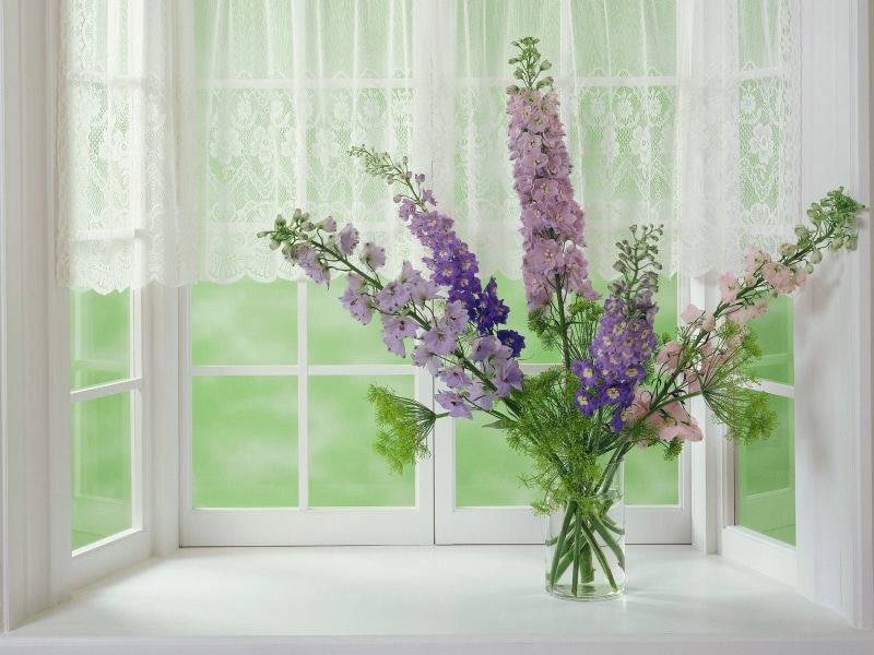 light - Natural Phenomenon, leaf, modern, day, purple, window Sill, flooring, flower arrangement, white, wood - Material, apartment, flowers, house, curtain