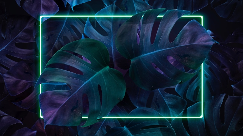 plants, neon, leaves, 1080P