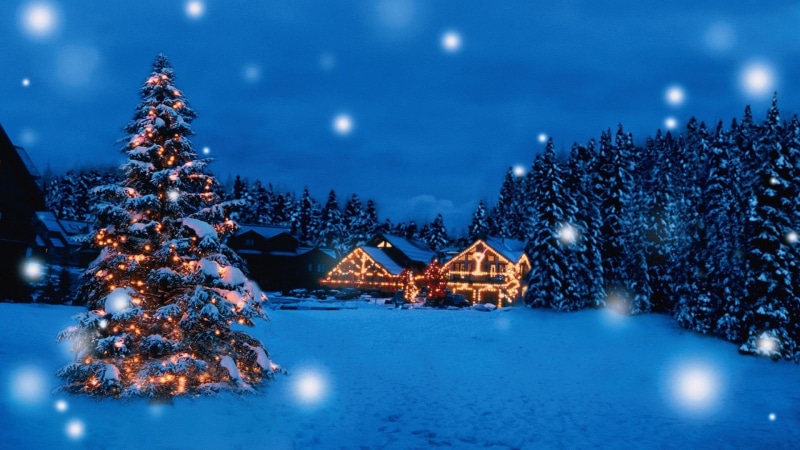 snow, px, art, Christmas, tree, Merry, Santa, animals, 1920x1080 px, 1080P, x, hd, beautiful, Holiday, gift, bears, Winter
