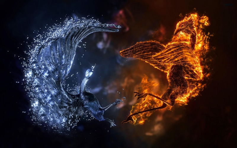 2K, ice, fire, 3d, birds, phoenix
