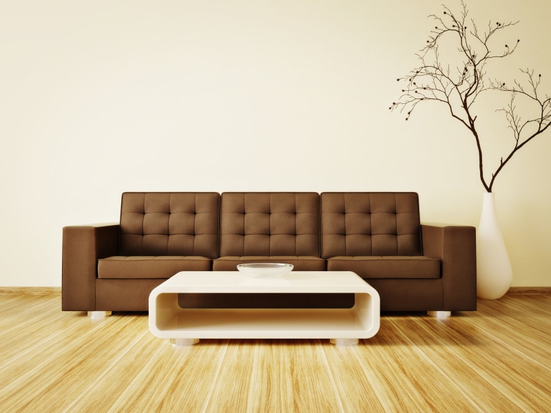 branch, table, luxury, couch, brown, lifestyles, furniture, chair, modern, no People, absence, tufted, comfortable, interior, design, elegance, armchair