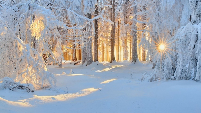 landscape, sunlight, 1080P, frost, snow, light, fir, tree, sky, branch, snowy, winter, freezing