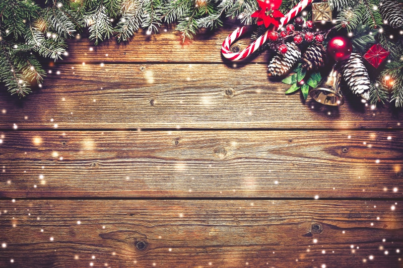 retro Styled, year, bumps, pine Cone, cultures, green Color, backgrounds, border, winter, greeting, close-up, plank, wood, humor, red, branch, still life