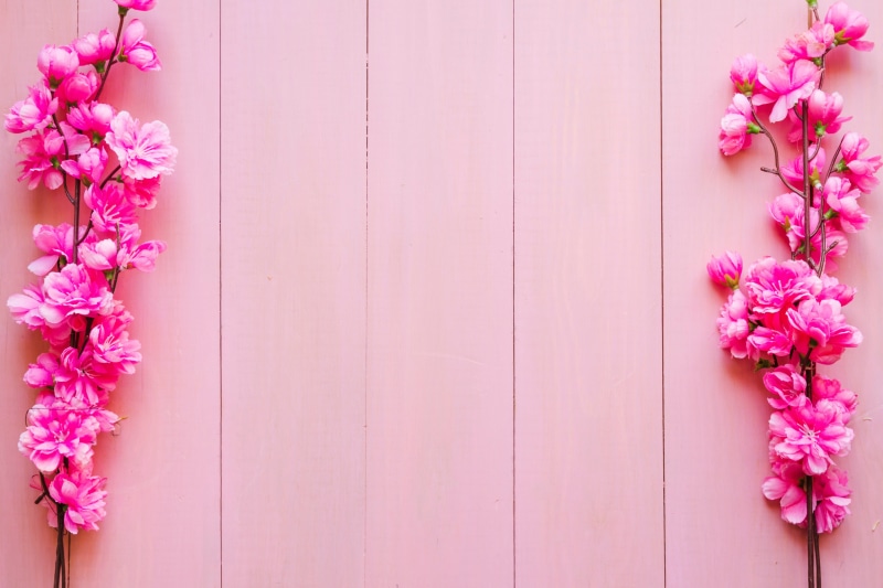 pink, 4K, background, wood, blossom, flowers, spring, branches
