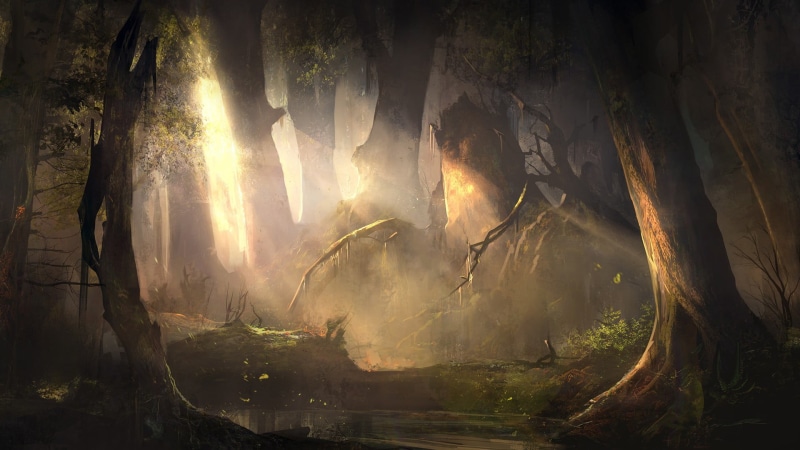 sunbeam, tree, non-urban scene, trunk, forest, fire, smoke - physical structure, beauty in nature, no people, growth, 1080P, day, forest fire