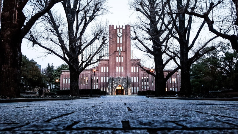 building exterior, place of worship, silhouette trees branches, built structure, plant, nature, 5K, religion, direction, autumn, no people, castle, road