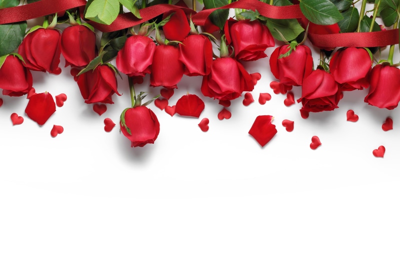 flowers, romantic, Valentines Day, love, gift, red, 5K, roses, red roses, hearts