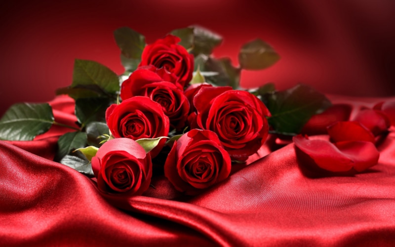 Flowers, 2K, Day, Valentine, Roses, Love, s, Red, Bouquet