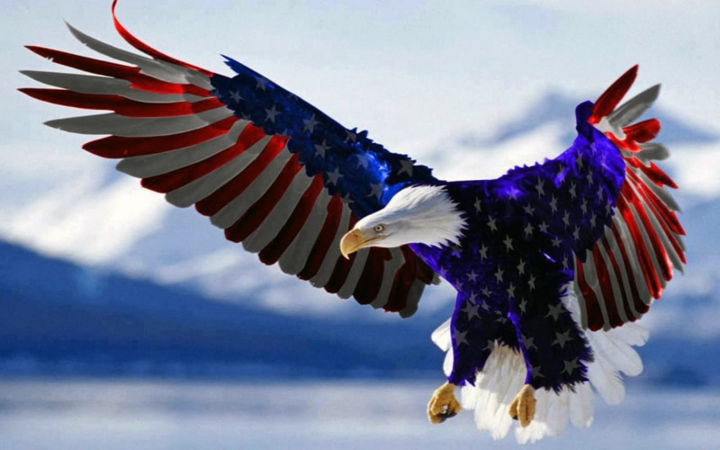  1080P, hd, pc, flag, american, eagle, phones, mobile, tablet, bald
