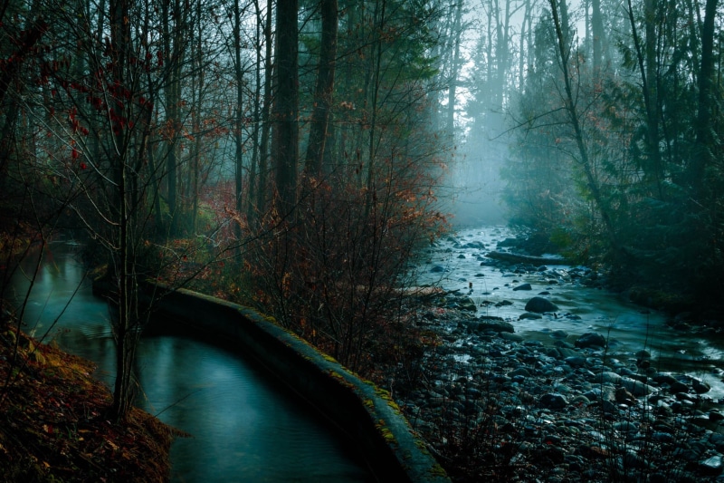 beauty in nature, day, fall, tree, mist, photography, rocks, trees, tranquil scene, non-urban scene, plant, connection, stream - flowing water, scenics - nature