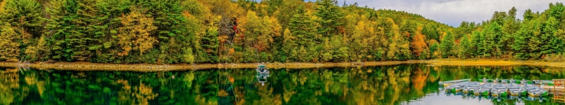 panorama, lake, tree, day, scenics - nature, sky, beauty in nature, Massachusetts, 5K, leafed, tranquility, outdoors, panoramic, landscape, green, forest