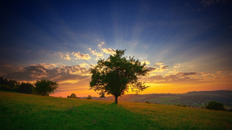 1080P, tranquil scene, green, tree, landscape, trees, no people, idyllic, cloud - sky, land, field, hills, growth, plant, sky, environment, orange color