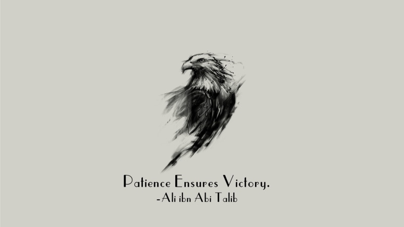 Islam, motivational, Ali ibn Abi Talib, 1080P, eagle, Imam, quote