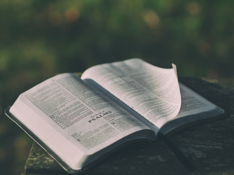 text, jesus Christ, christianity, religion, catholicism, close-up, reading, book, bible, communication, god, expertise, belief, studying, still life, open
