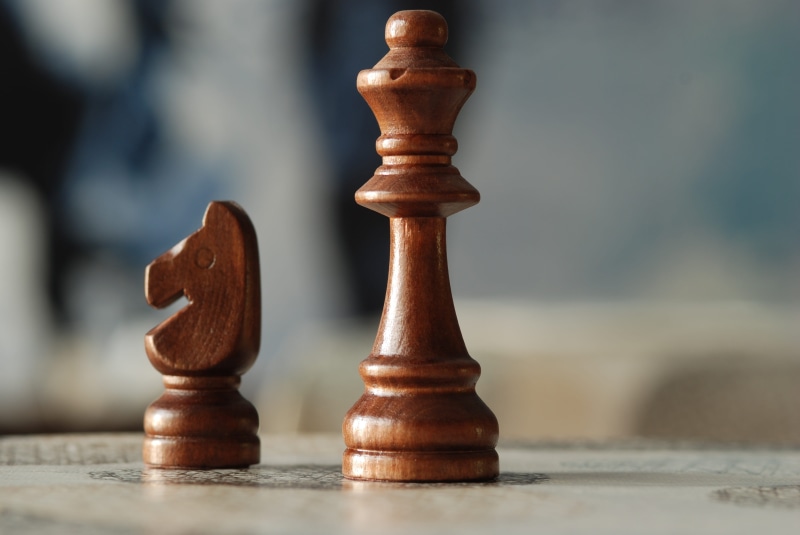 game, brown, pieces, focus, leisure activity, horse, shallow, close-up, business, indoors, focus on foreground, chess, pawn - chess piece, knight - chess piece