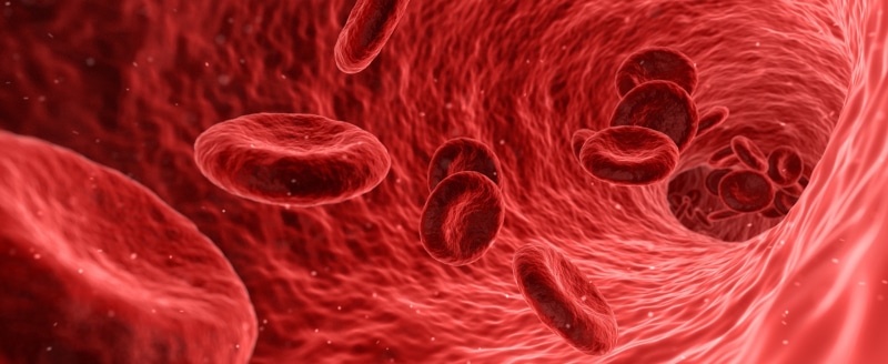 three dimensional, human blood, magnification, hazard, pathological, Care, microbiology, medicine, illness, biotechnology, virus, education, Test, human body part