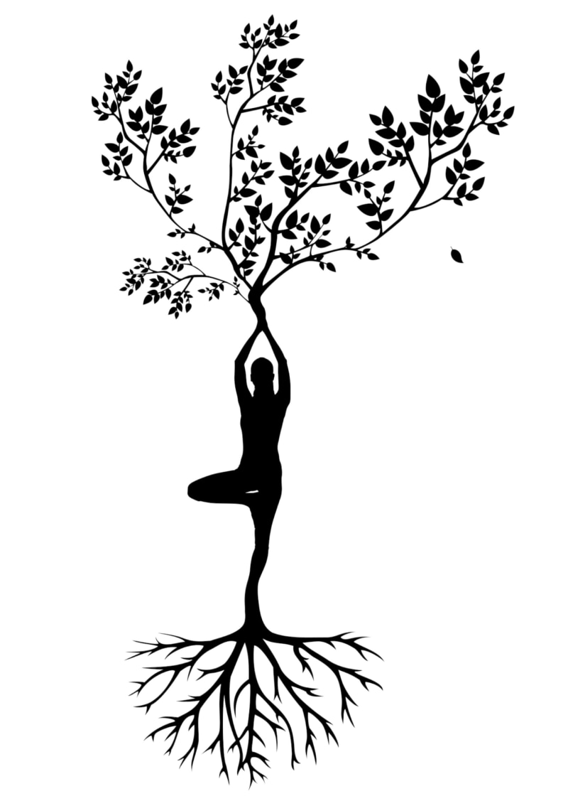 yoga, body, energy, zen, girl, yin yang, people, studio shot, women, gym, buddhism, branch, roots, pose yoga, one person, lifestyle, relax, force, exercise