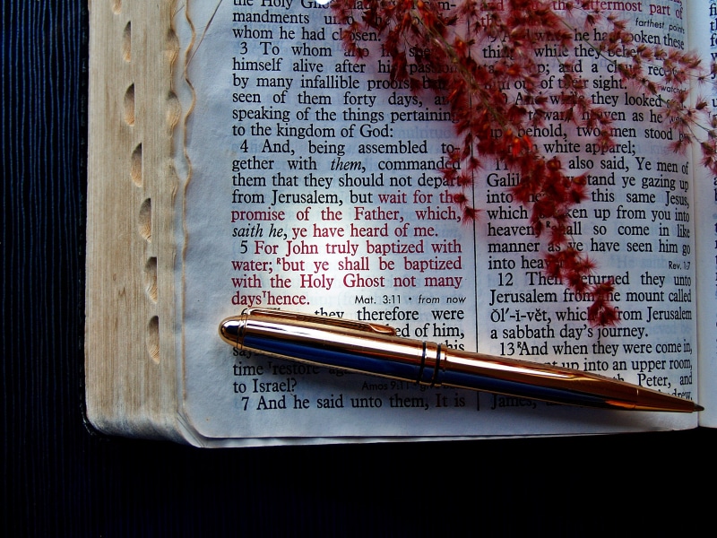 bible, spirituality, word, handwriting, reverence, reading, indoors, light, sacred, verse, white, holy spirit, grass, belief, bible study, paper, page