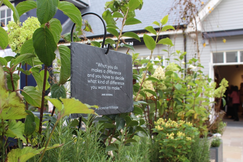 botany, growth, flowering plant, bicester, leaf, greenery, freshness, quote, stone, western script, green, slate, plant, plant nursery, village, united kingdom