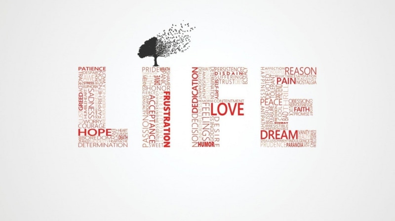 no people, communication, animal themes, capital letter, typography, simple background, text, indoors, message, close-up, creativity, white color, western script