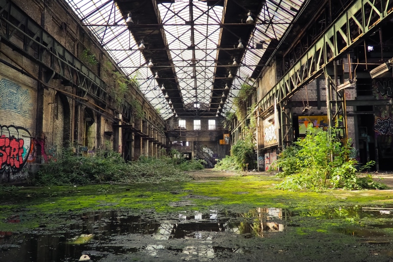 deterioration, bad condition, run down, weathered, industrial building, moss, obsolete, forget, old, abandoned, architecture, broken, hall, indoors, abandon