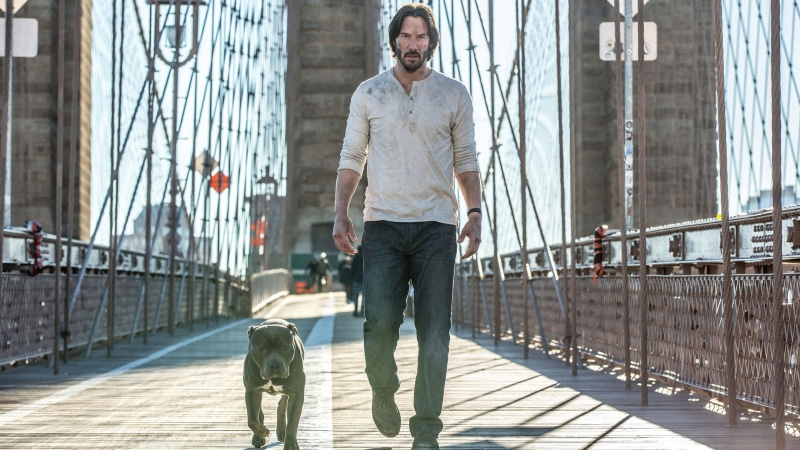 men, casual clothing, jon, pets, males, pit bull, dog, mammal, John Wick Chapter 2, one person, movie, still, footbridge, domestic animals, Keanu Reeves