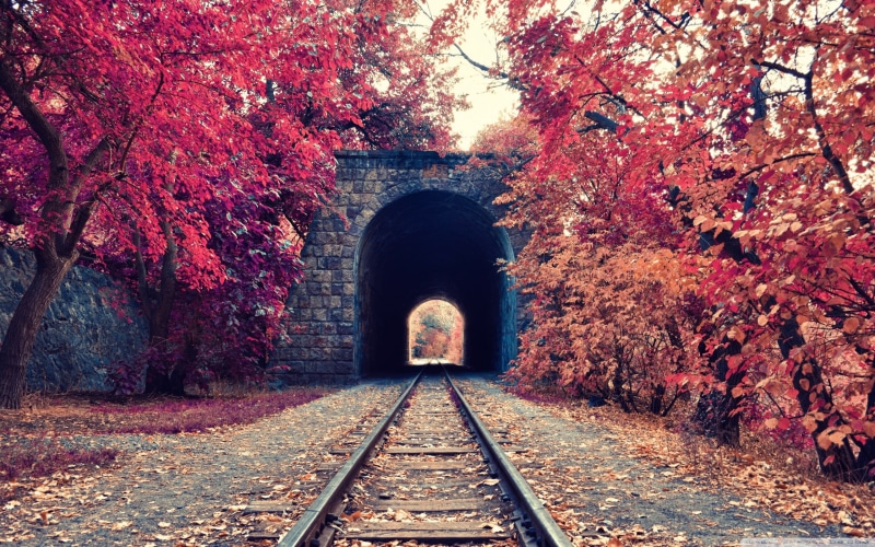 season, railway, autumn, brown, architecture, steel, railroad Track, cherry blossom, the way forward, old-fashioned, red, bricked, fall, no people, track