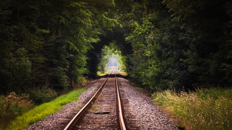 brown, green color, railway, railroad Track, travel, growth, direction, speed, day, scenics - nature, the way forward, road, traffic, station, land, nature